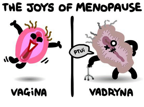 Κολπική Ξηρότητα